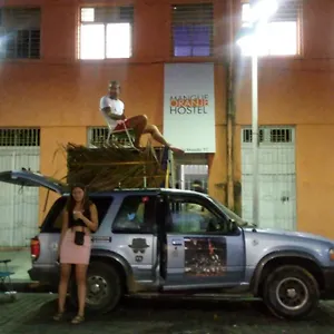 Hostal Mangue Oranje